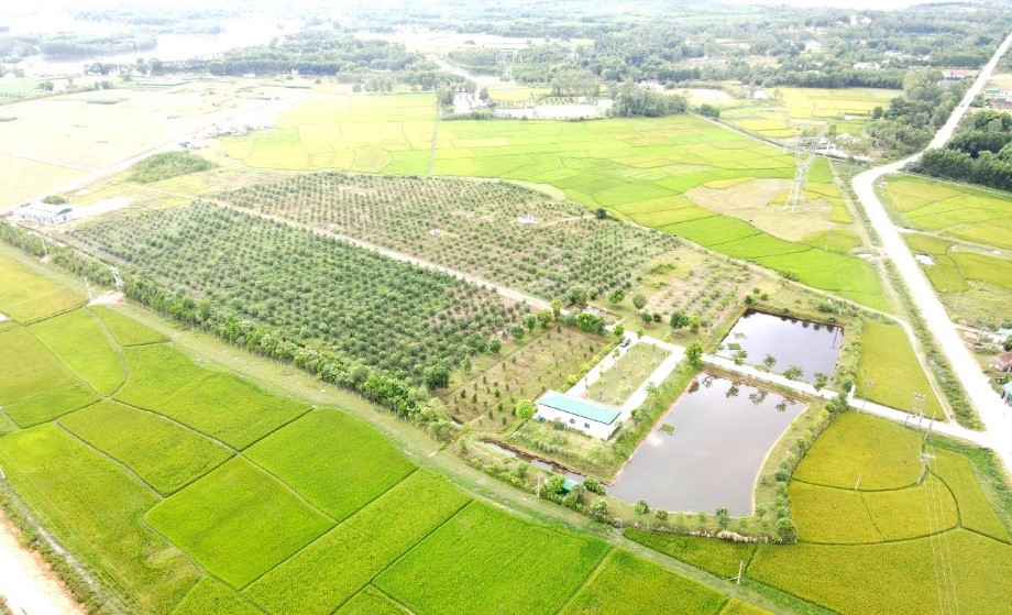 TRANG TRẠI  XUÂN CÙ